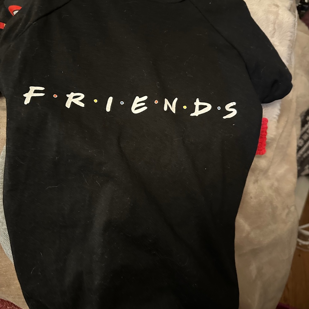 Brand new large dog friends shirt